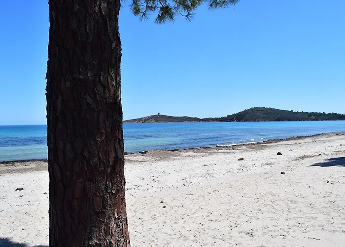 Appartement Les Hauts De Pinarello *